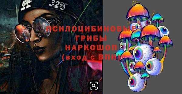a pvp Алексин