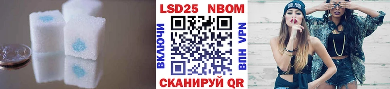 ссылка на мегу ТОР  Гаджиево  дарк нет официальный сайт  LSD-25 экстази кислота 
