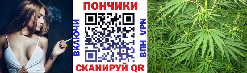 Шишки марихуана планчик  Гаджиево 